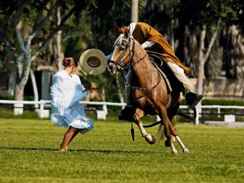 Visite de Pachacamac, restaurant thématique, chevaux paso péruviens.